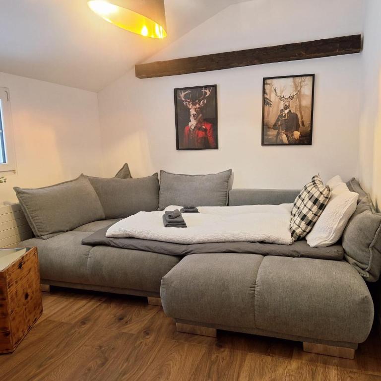 Bijou Hollandia - Casa con 3 Camere da Letto - 7
