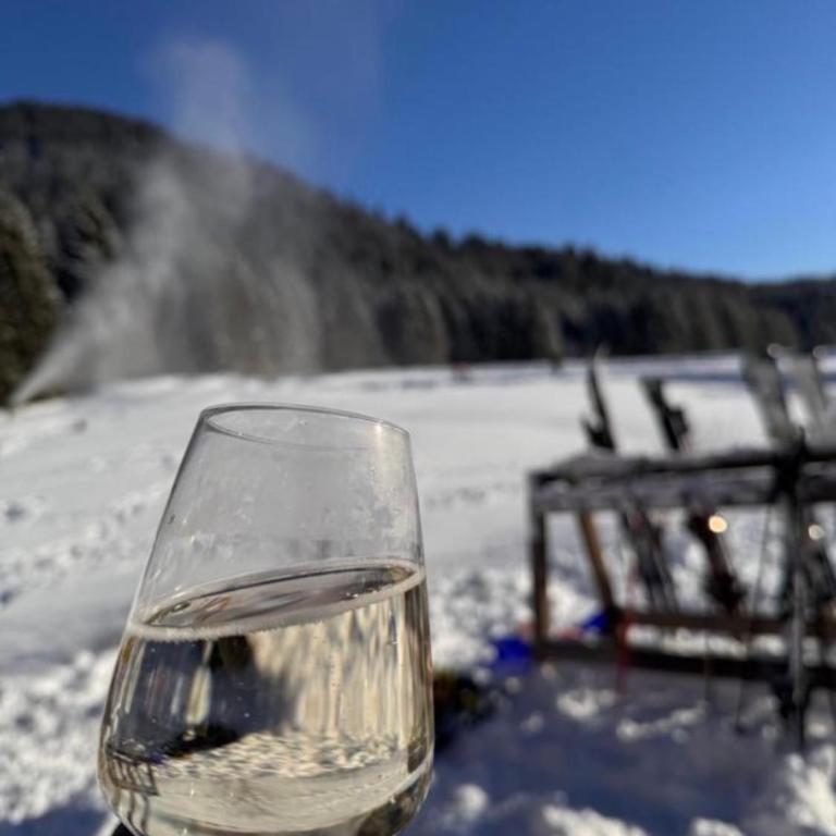 Bergnest Lodge mit Bergblick - Ca 3 min Skilift - Balkon - Garten - 6 Pers - Hund - Luftkurort - nähe Buchenegger Wasserfälle - Eistobel - Bodensee - Apartment mit 1 Schlafzimmer - 53