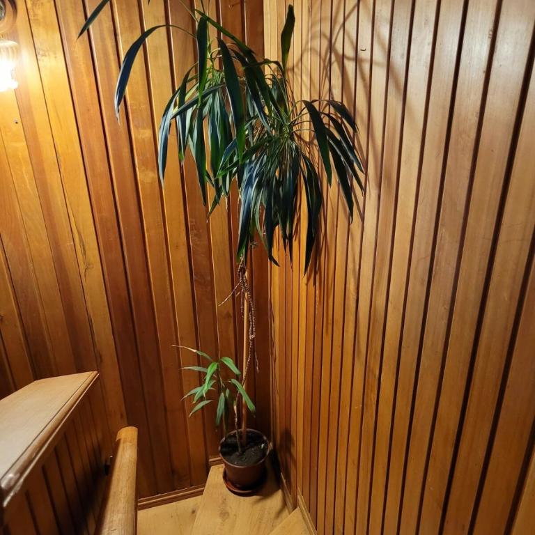 Casa Verde Puerto Varas - Two-Bedroom House - 22