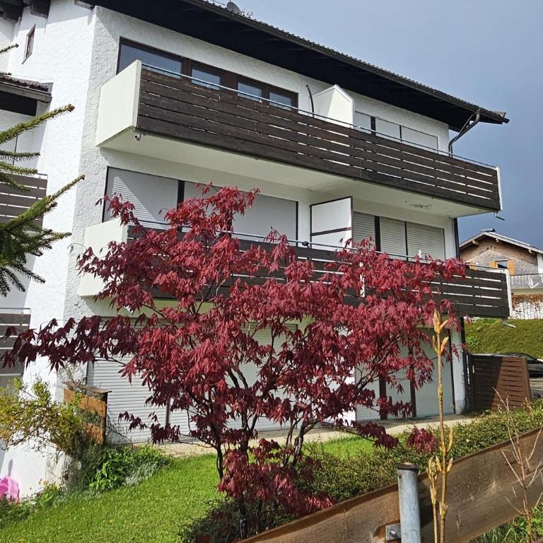 Spatz am Joch - Apartment mit Dusche - 10