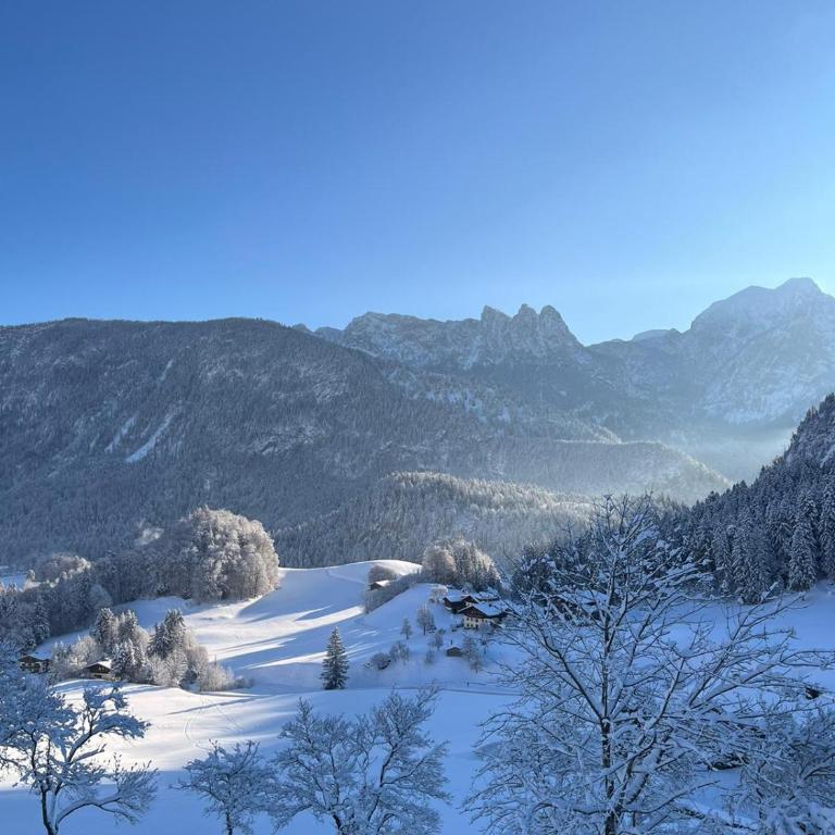 Ferienwohnung Niederbergerhof - Two-Bedroom Apartment with Mountain View - 2