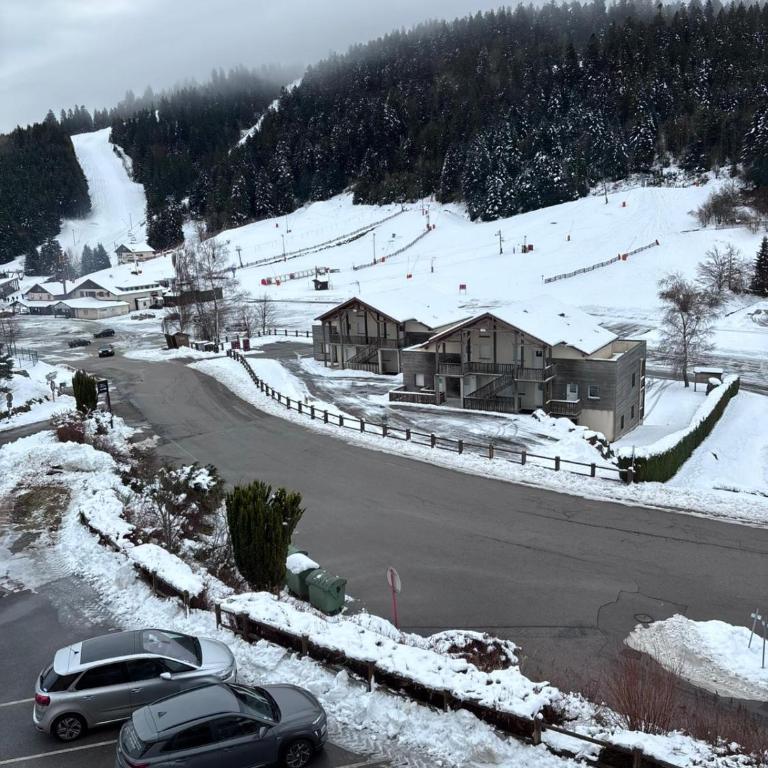 Duplex Étoilé Tout Confort Aux Pieds Des Pistes - Gérardmer - Appartement avec Vue sur la Montagne - 15