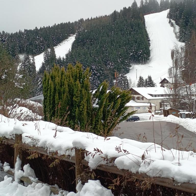 Duplex Étoilé Tout Confort Aux Pieds Des Pistes - Gérardmer - Appartement avec Vue sur la Montagne - 14