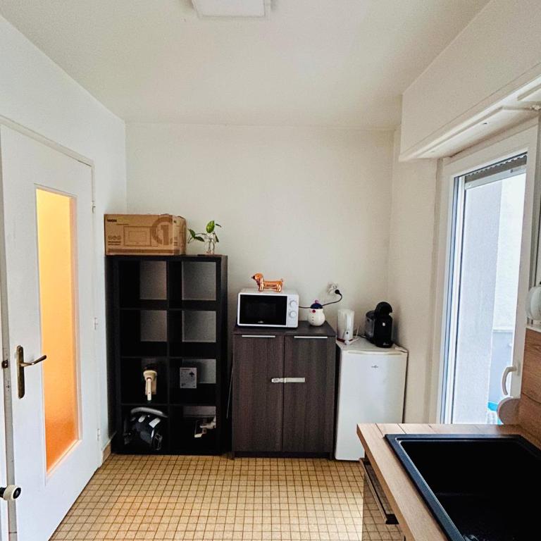 appartment avec balcon strasbourg centre - Appartamento con 1 Camera da Letto - 14