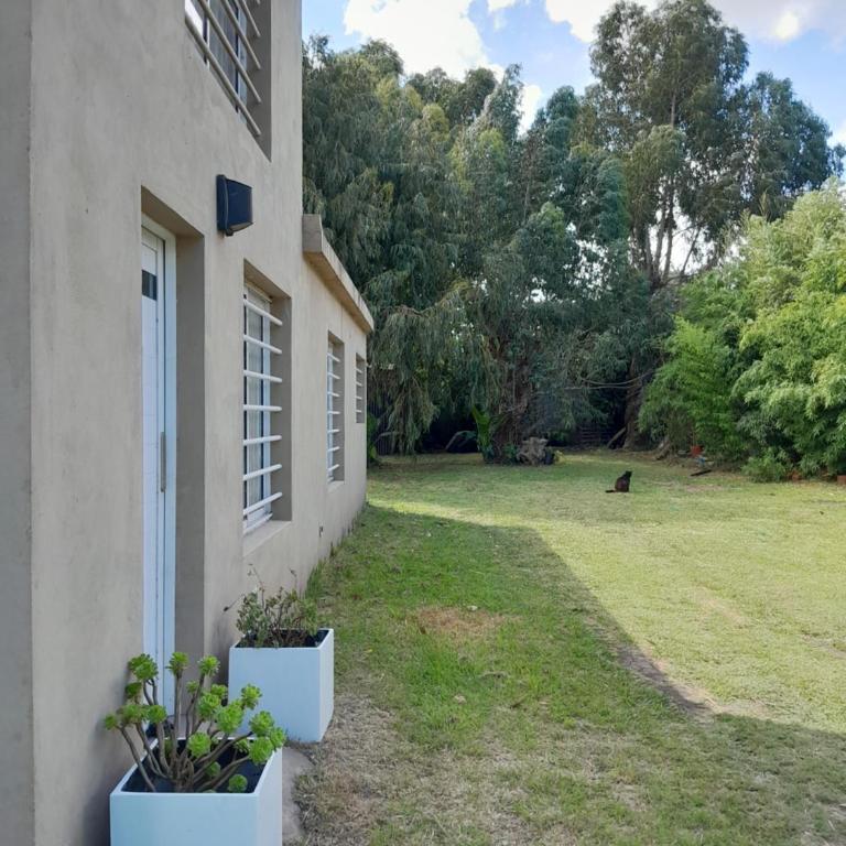 Casa Atlántida - Two-Bedroom House - 2