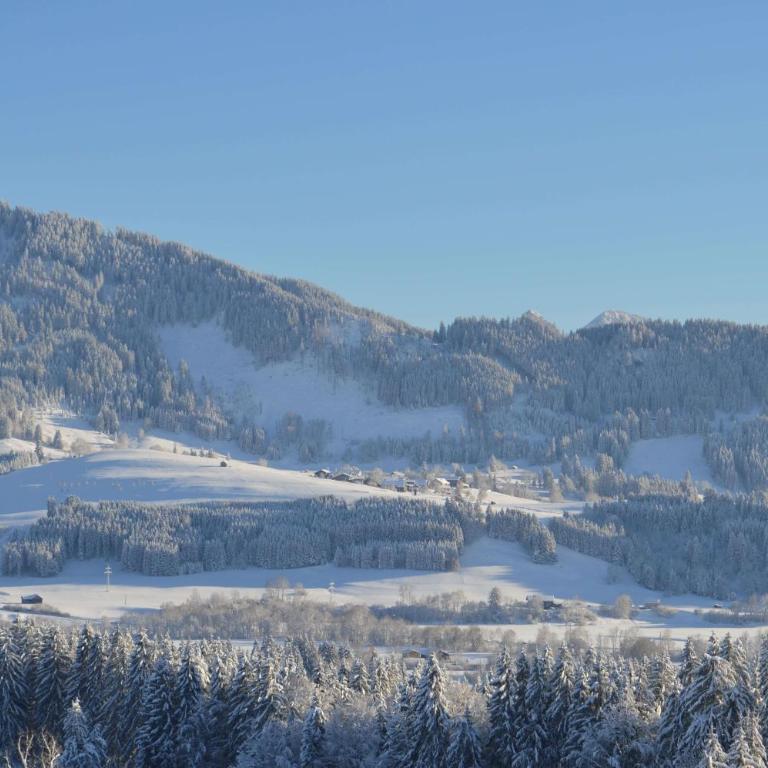 4-Sterne Tiny House & erholsame Ruhe und ganz viel Natur im Oberallgäu - Chalet mit 1 Schlafzimmer - 22