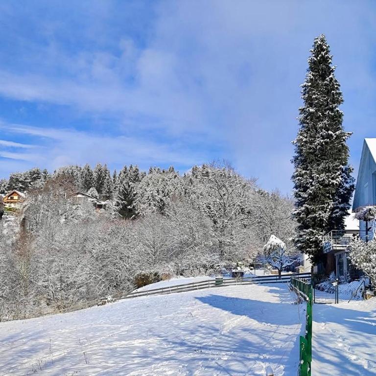 EulenHorst - Ferienhaus in Seeboden am Millstätter See mit Sonnenterasse & Bergblick - Ferienhaus mit 3 Schlafzimmern - 2