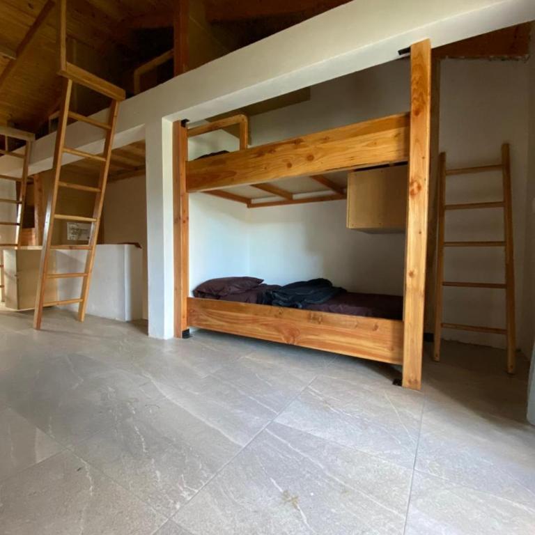 Verde Mondo - Mixed Dormitory Room - 6