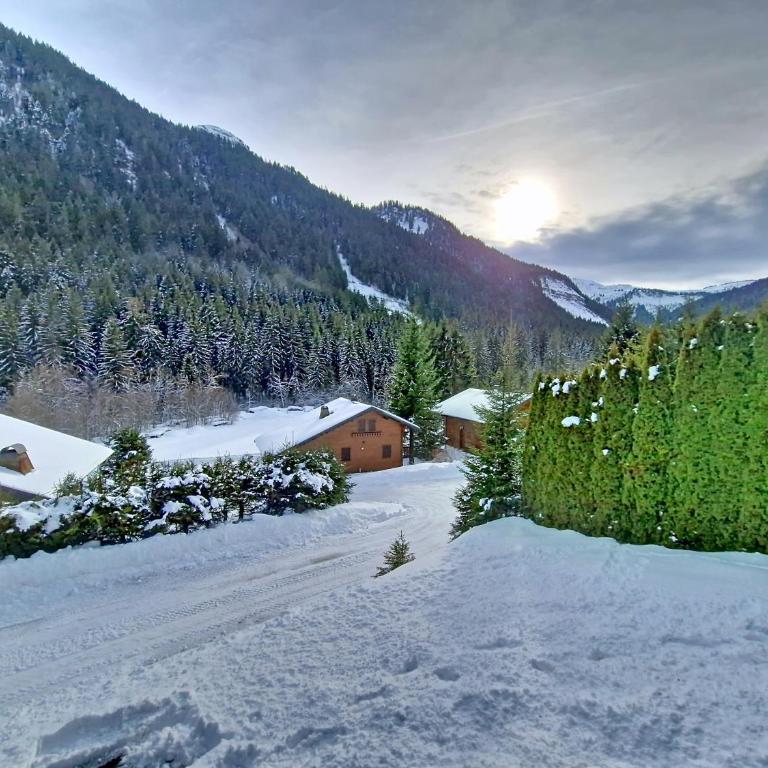 Chalet Jet d'Eau JD20 NATURE & MOUNTAIN 8 Pers - Chalet - 13