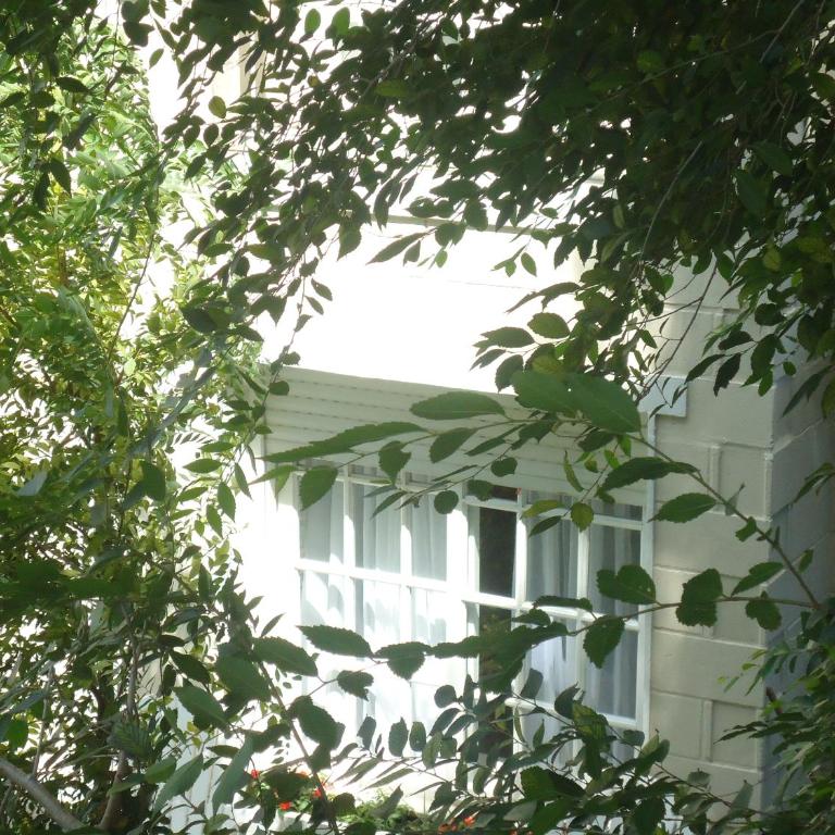 Complejo Punta Villa - Casa - 17