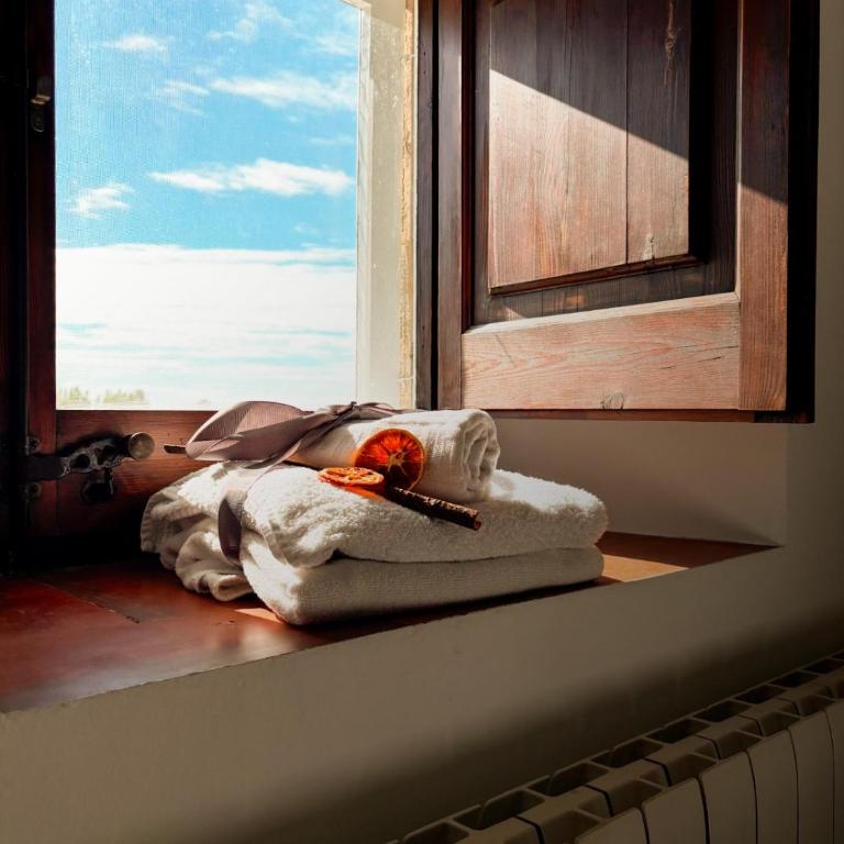 Mas Ribas Hotel i Esdeveniments - Twin Room - 23