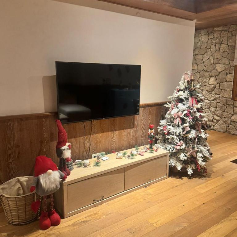 Top Hill - Župa Kopaonik - Two-Bedroom Apartment - 12