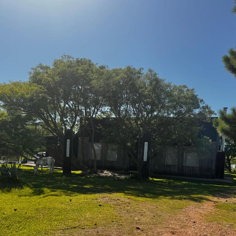 La Pausa - Apartamento de 2 dormitorios - 1