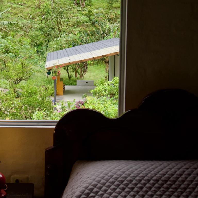 La Paila - Life Refuge - Mixed Dormitory Room - 1