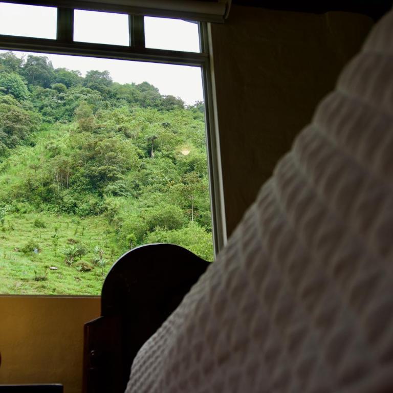 La Paila - Life Refuge - Mixed Dormitory Room - 3