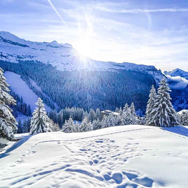 Next to the pistes, 1-bedroom family apartment - Appartement avec Balcon - 5
