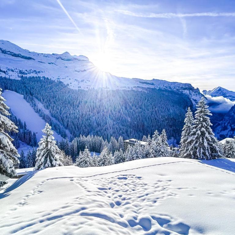Next to the pistes, 1-bedroom family apartment - Appartement avec Balcon - 16