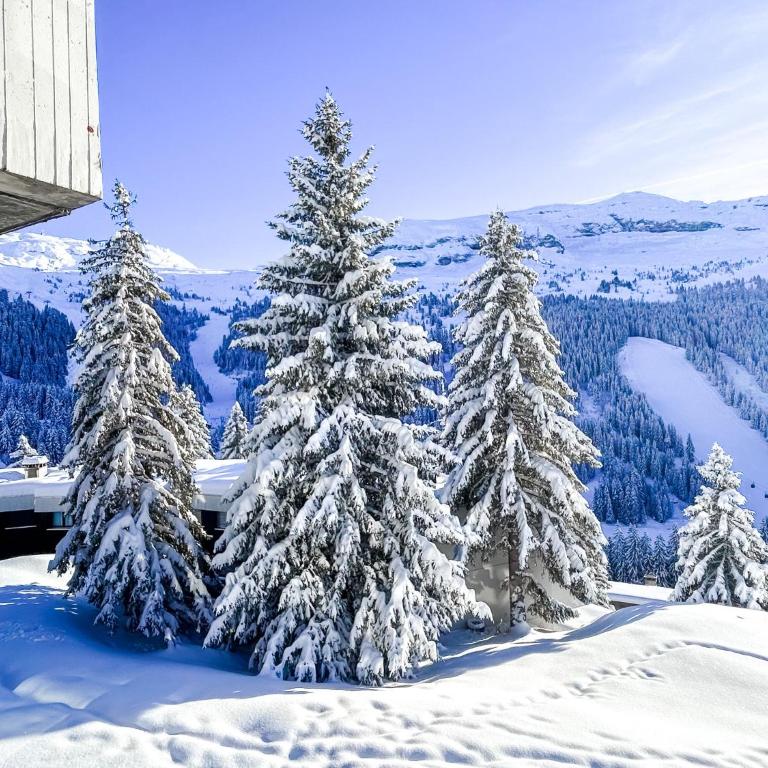 Next to the pistes, 1-bedroom family apartment - Appartement avec Balcon - 32