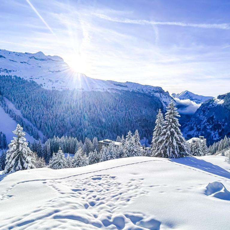 Next to the pistes, 1-bedroom family apartment - Appartement avec Balcon - 33