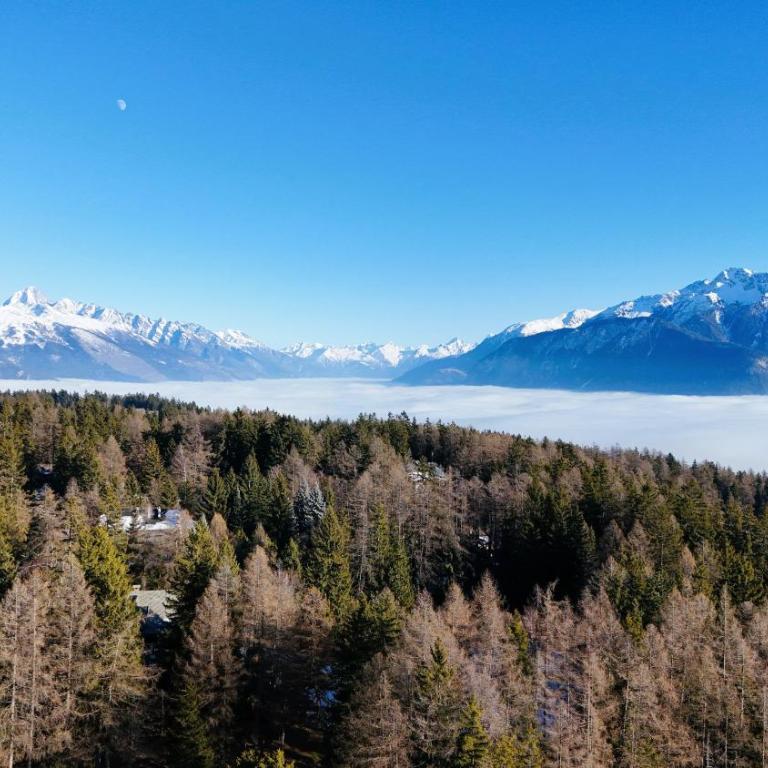 From green to slopes - Alpine ski and golf condo - Appartamento - 19