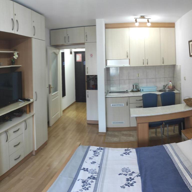 Renome apartmani - Studio sa Balkonom - 10