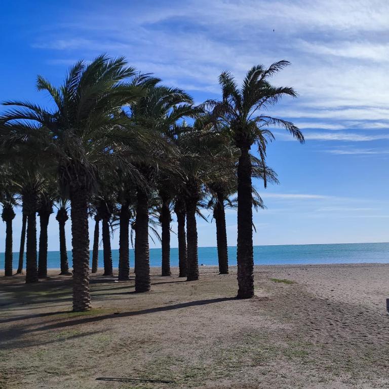 CABOMOLINOS, APARTAMENTO108 - Apartamento con terraza - 50