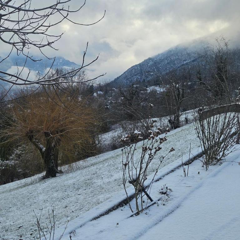 Le Petit Chalet - Chalet 1 Chambre - 6