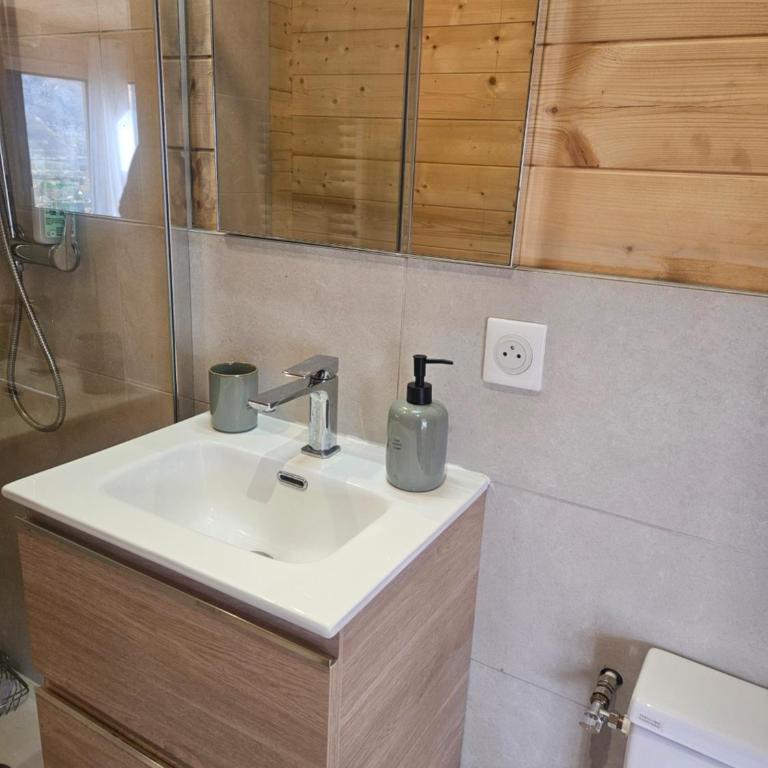 Le Petit Chalet - Chalet 1 Chambre - 8