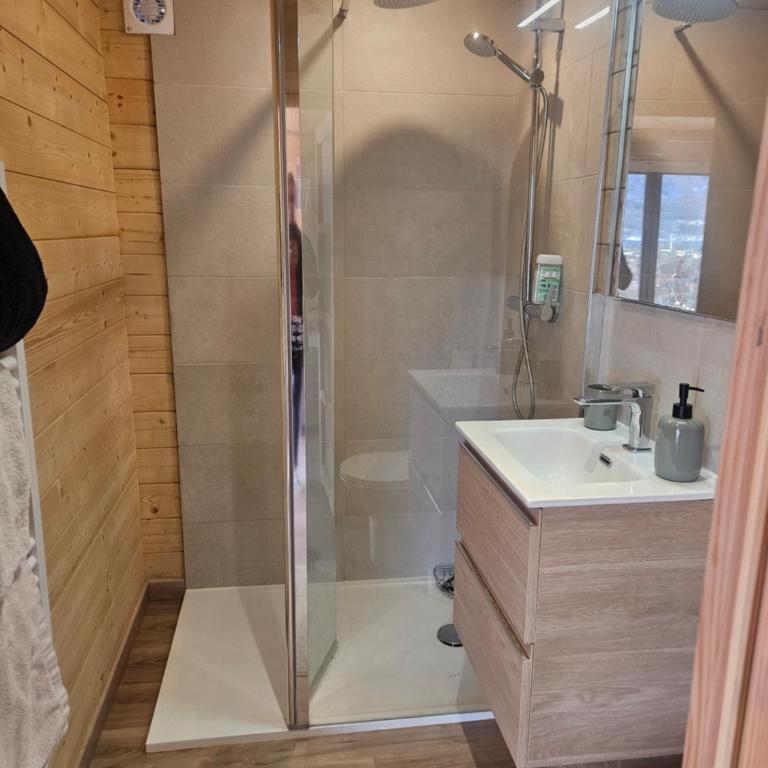Le Petit Chalet - Chalet 1 Chambre - 17