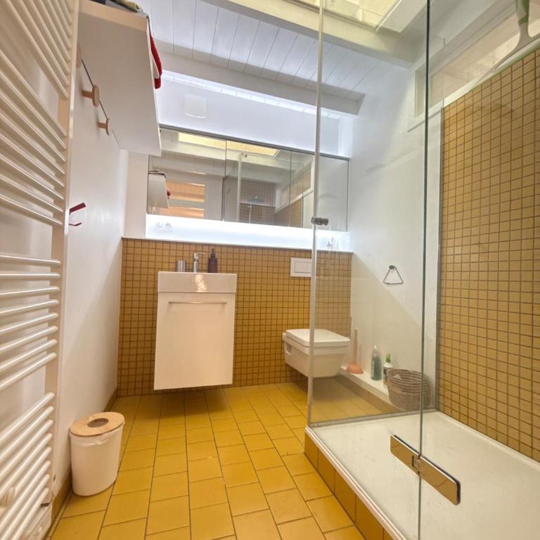 Colmar historic center Charming duplex with garage - Appartamento con 2 Camere da Letto - 7