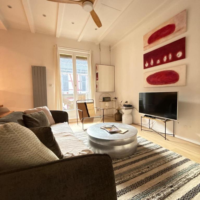 Colmar historic center Charming duplex with garage - Appartamento con 2 Camere da Letto - 19