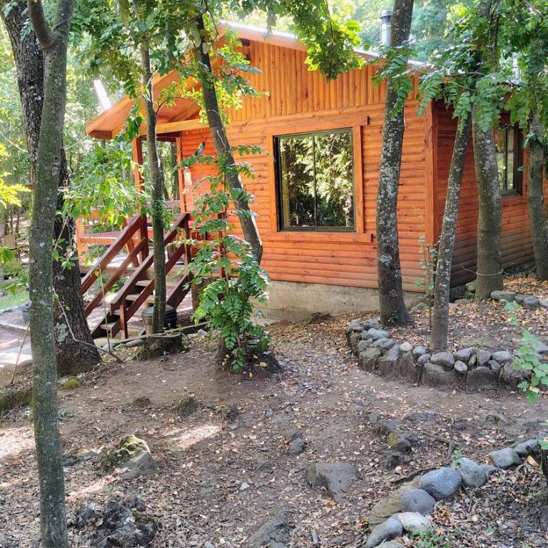 Cabañas Tía Marce, Los Lleuques - Apartamento de 2 dormitorios con terraza - 1