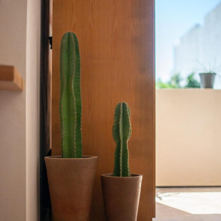A Sweet Jungle Suite in Aldea Zama - Studio - 20
