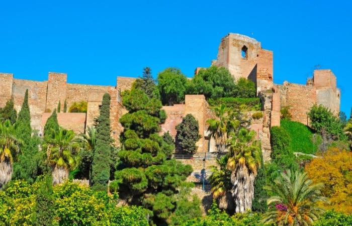 Authentic Studios Alcazaba - Apartamento de 1 dormitorio - 14