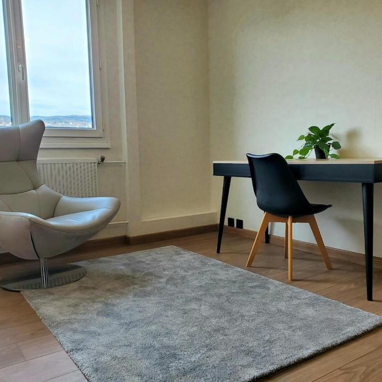 Le Moderne Chic - Clermont-Ferrand - Appartement 1 Chambre - 5