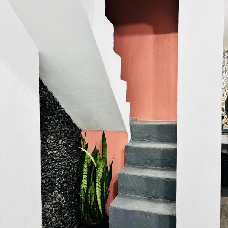 Apartment with terrace near CDMX Airport - Apartamento Clásico - 27