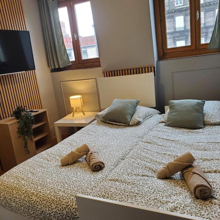 Le Petit Cosy - Clermont-Ferrand - Appartement 1 Chambre - 1