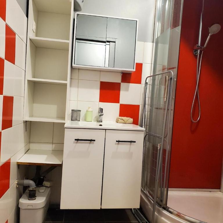 Le Petit Cosy - Clermont-Ferrand - Appartement 1 Chambre - 4