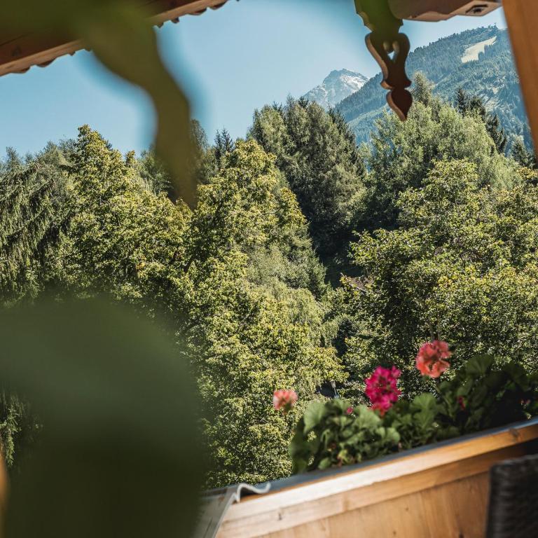 Brückenhof - Apartment mit Blick auf die Berge - 2
