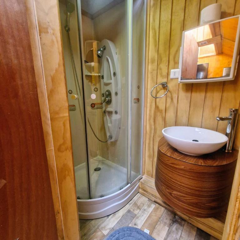 Wildepartamentos Valdivia ER - Apartamento - 1