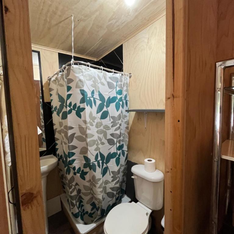 Mini Departamento, Mono Ambiente Pucon - One-Bedroom Apartment - 11