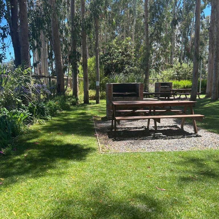 Departamento Algarrobo - Apartamento de 2 dormitorios - 3