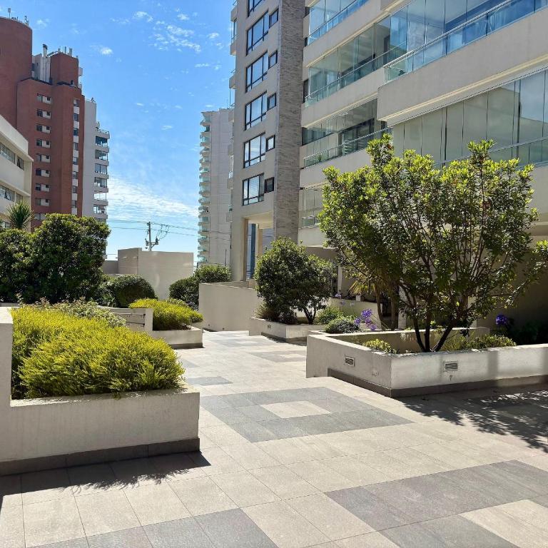 Department in modern building in Edmundo Eluchans - Apartment - 28