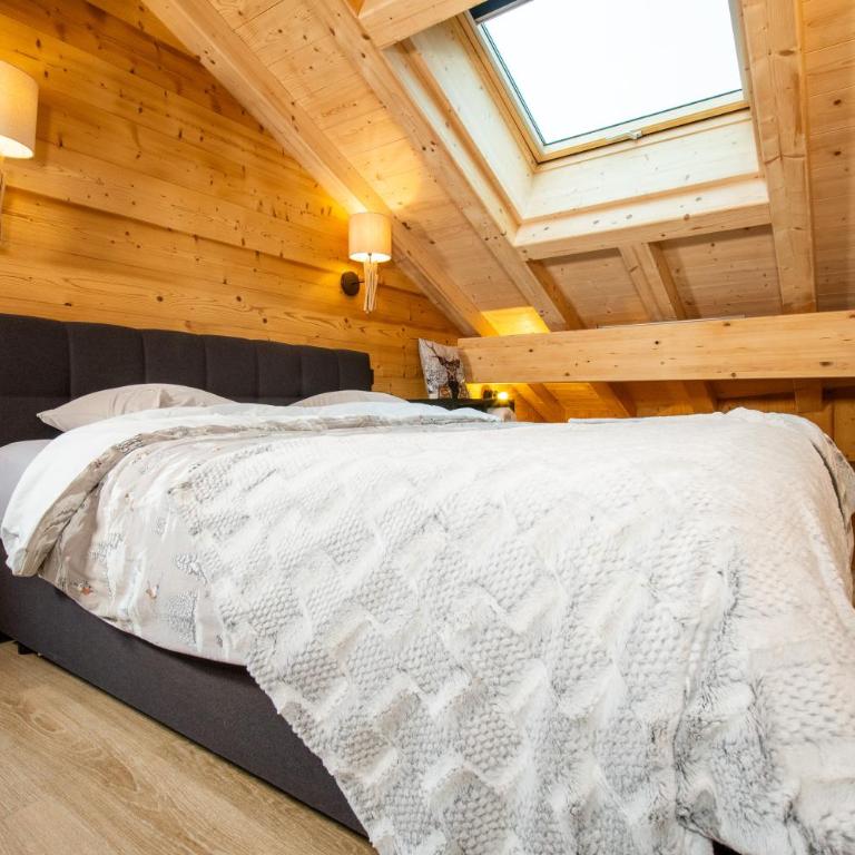 La Rose des neiges à Châtel - Appartement - 78