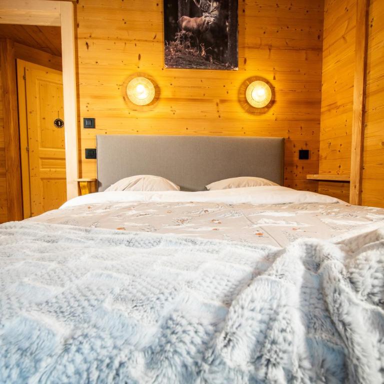 La Rose des neiges à Châtel - Appartement - 88