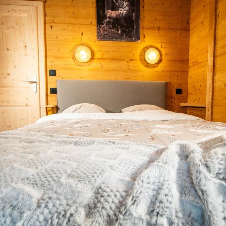 La Rose des neiges à Châtel - Appartement - 77