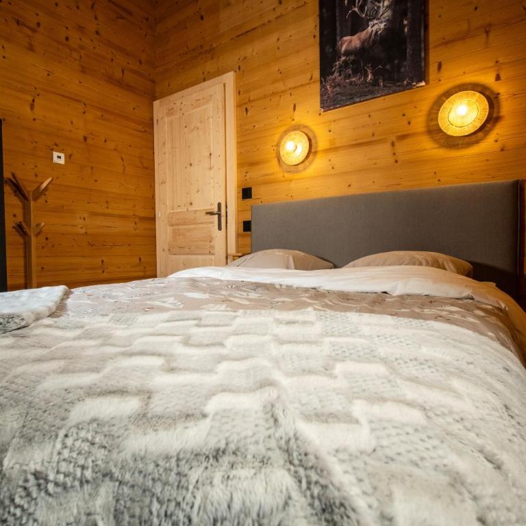 La Rose des neiges à Châtel - Appartement - 93