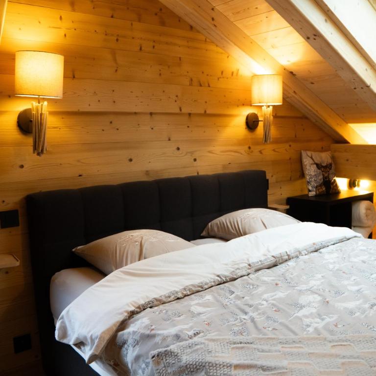 La Rose des neiges à Châtel - Appartement - 1