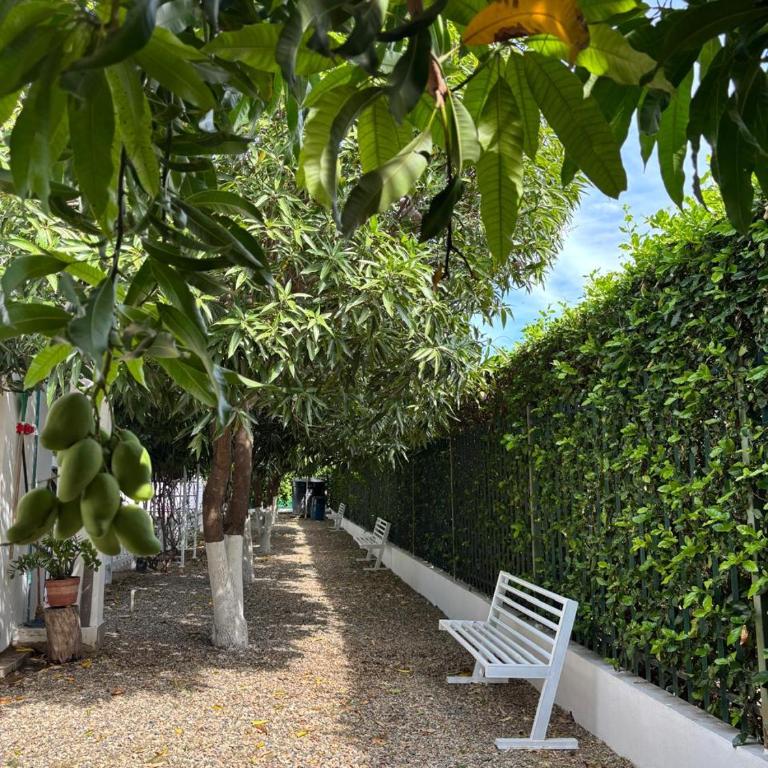 Casa Campo Villa Leorenis - Casa de 2 dormitorios - 27