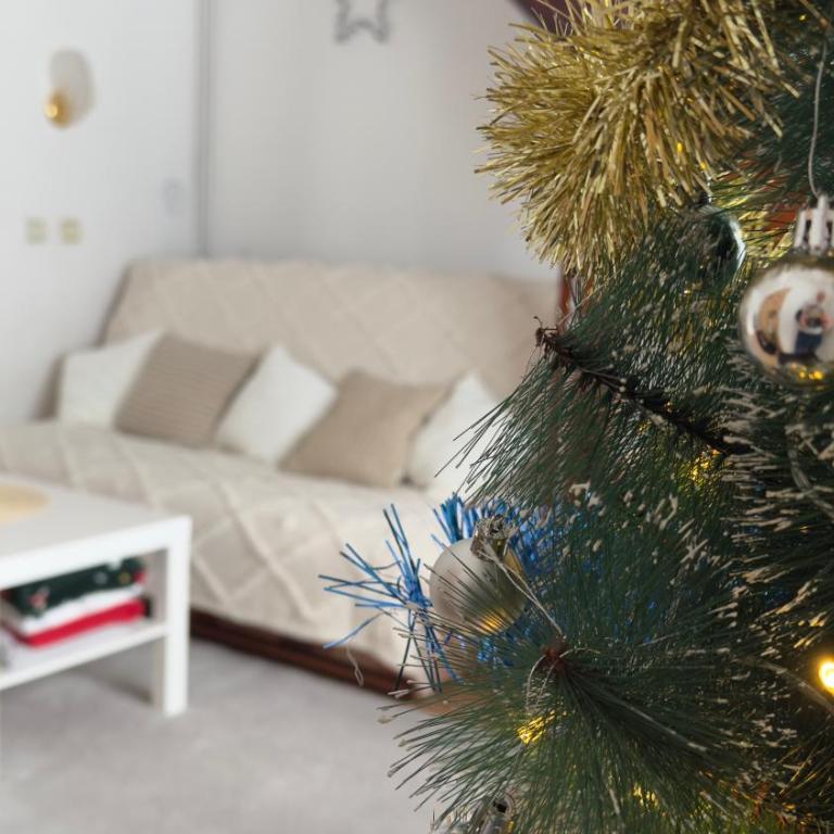 Mila Bregovi - prostrani dupleks - Apartman sa 3 Spavaće Sobe - 1